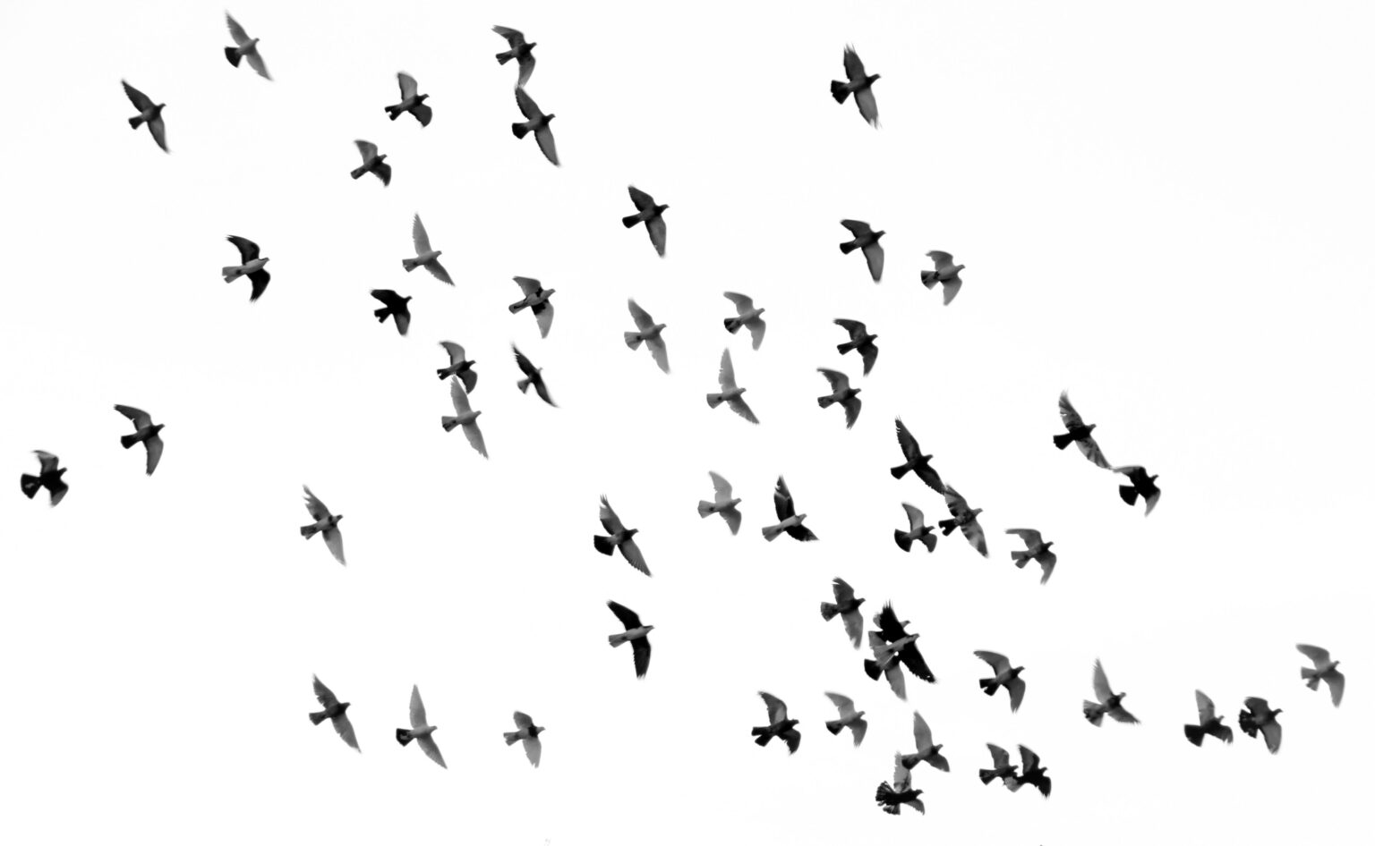mehdi-sepehri-cX0Yxw38cx8-unsplash-1536x946